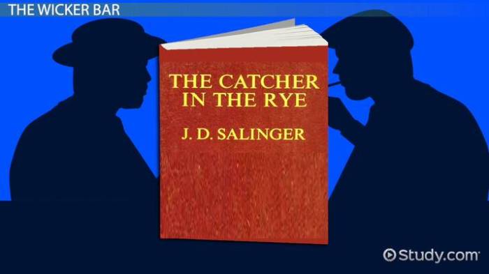 Catcher in the rye chapter 3