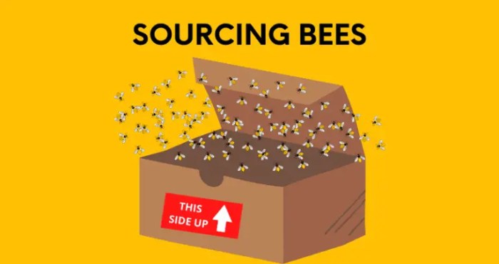 Colonies brazilian optimize bees stingless beekeeping survey describing