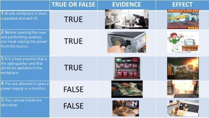 Identify the true and false statements about asexuality