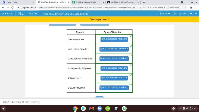 Identify which type of reaction the feature occurs in.