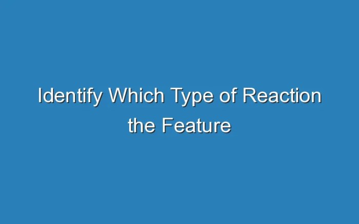 Identify which type of reaction the feature occurs in.