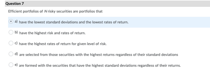 Risky portfolio extending securities optimal slideserve